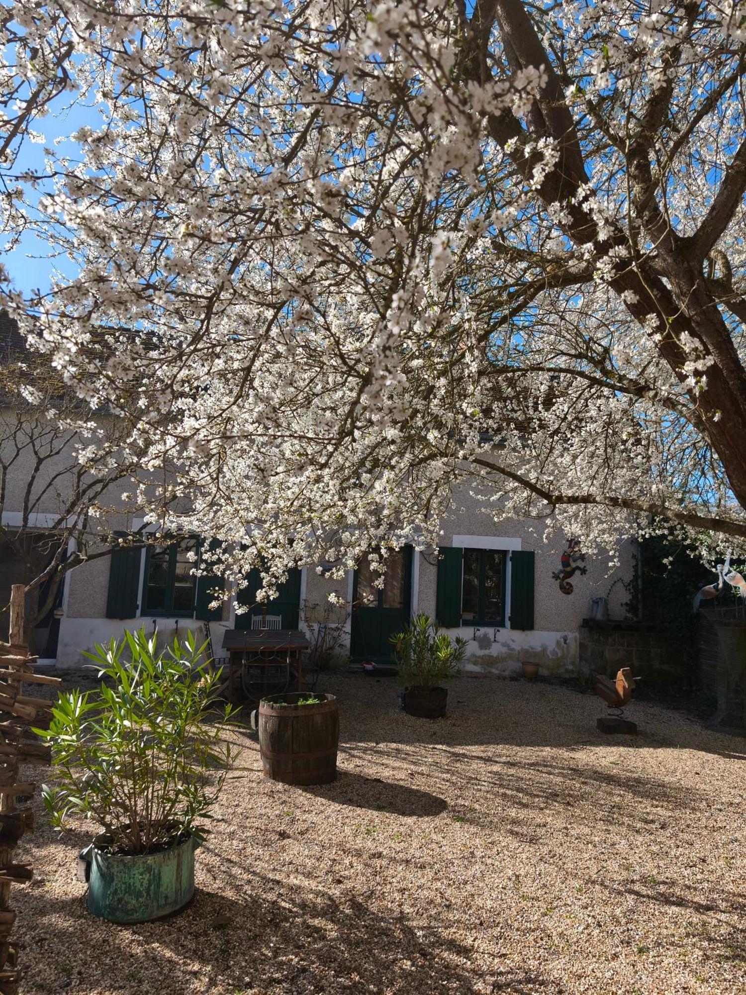 Le Cottage Des Sablons Pres Du Zoo De Beauval Saint-Romain-sur-Cher 외부 사진
